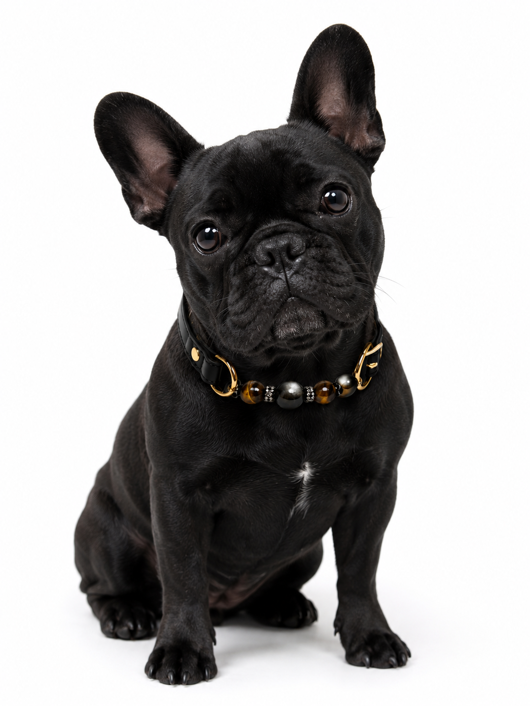 Obsidian × Tiger’s Eye Energy Healing Collar for Pets