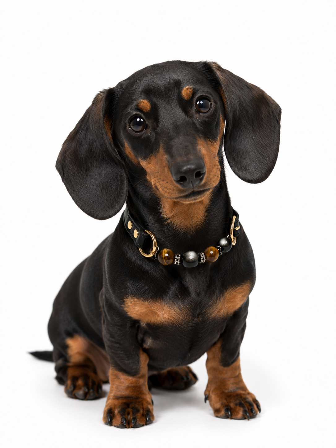 Obsidian × Tiger’s Eye Energy Healing Collar for Pets