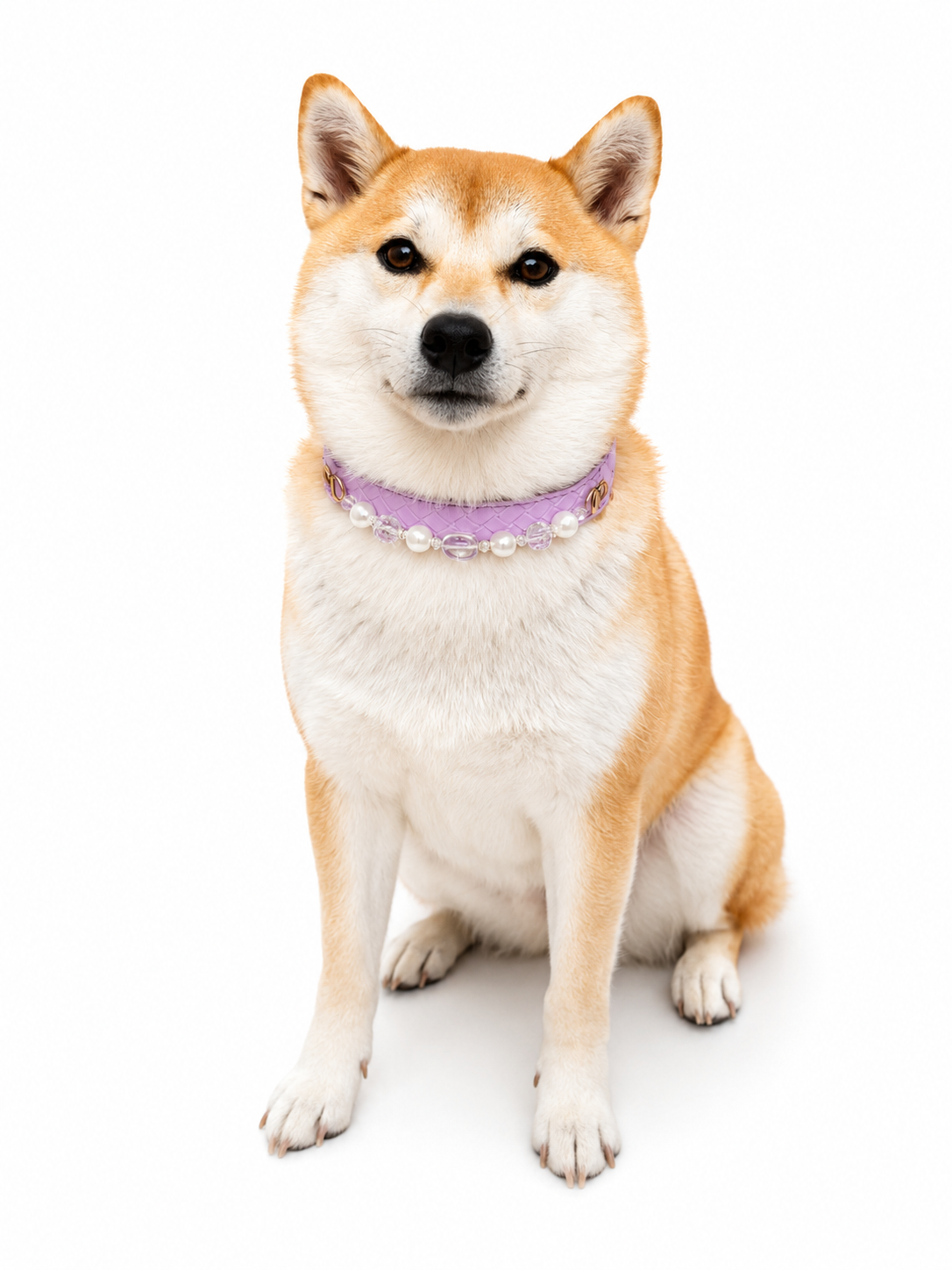 Clear Quartz & Pearl Energy Healing Pet Collar