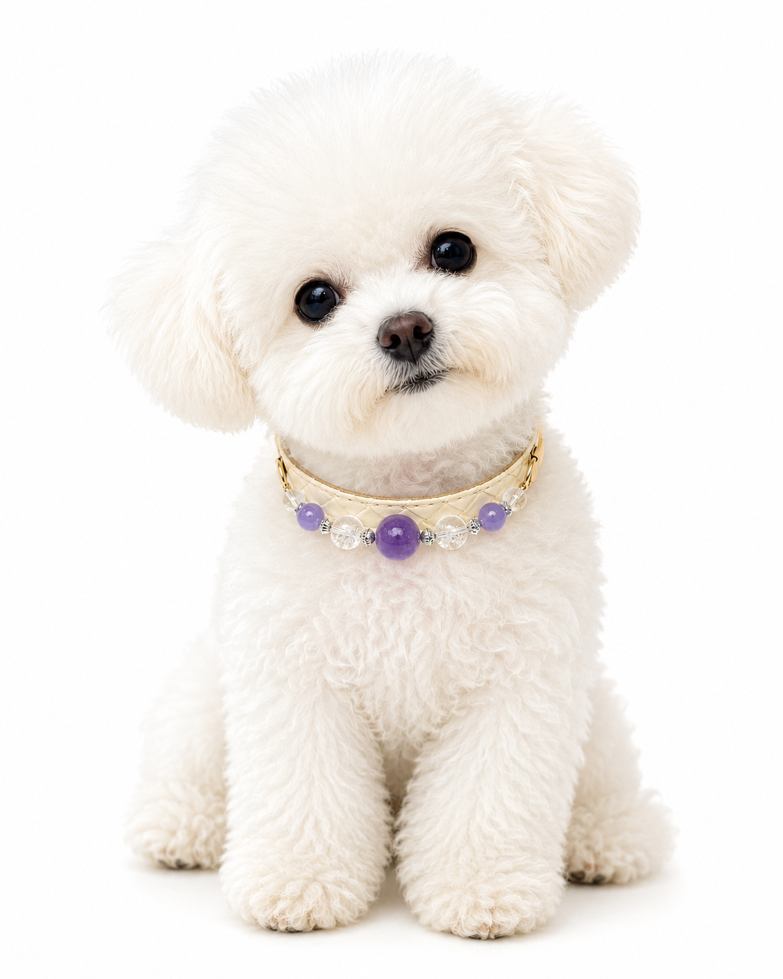 Amethyst Azeztulite Healing Pet Collar